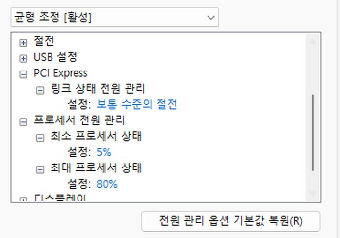윈도우11 최대 프로세서 상태 80% 설정 화면