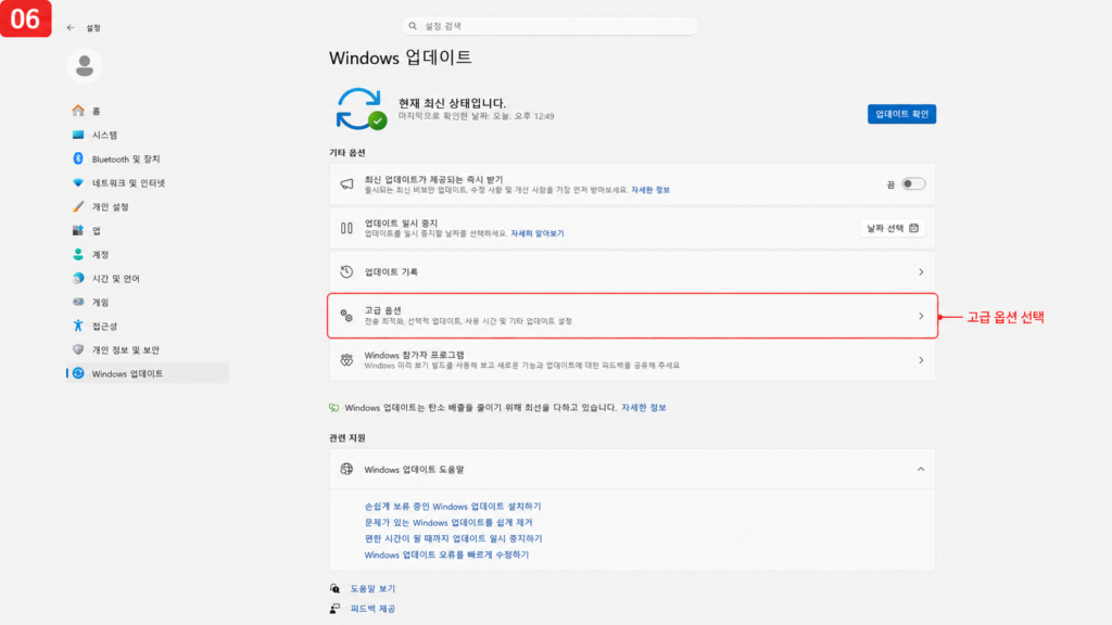 윈도우11 Windows 업데이트에서 고급 옵션을 선택하는 화면